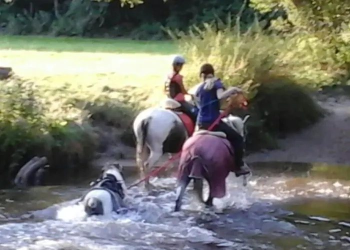 Nyaraló At Bunge Heath Farm - Formerly Tui